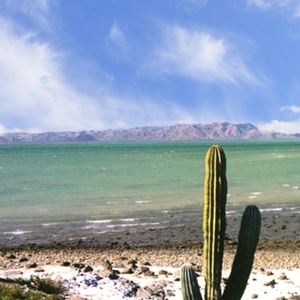 Isla Tiburón — inmersión cultural